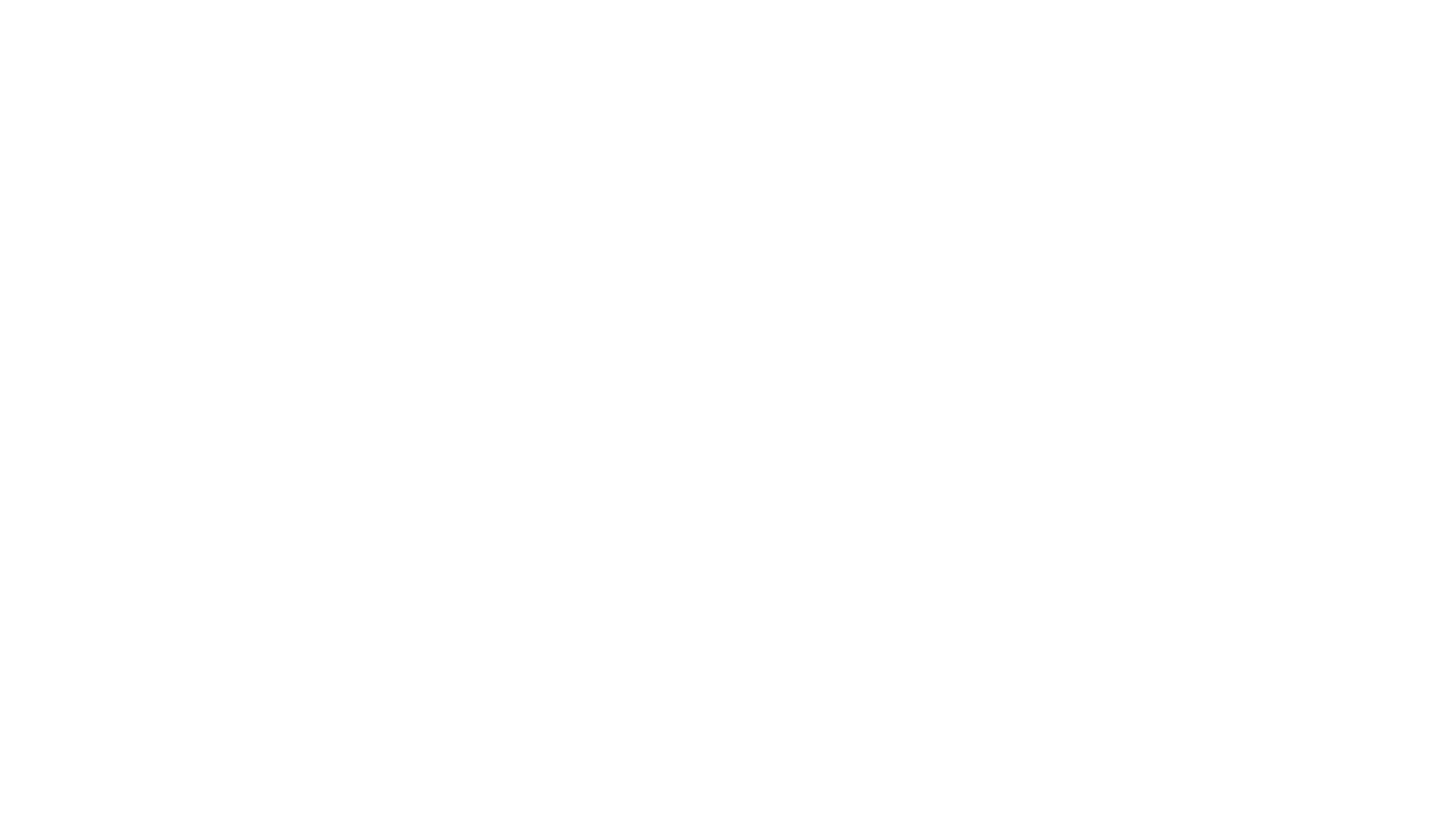 Zelfconnect Logo